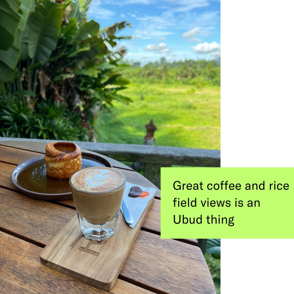 FINE DINING IN UBUD, BALI Guide [Ebook + digital maps]