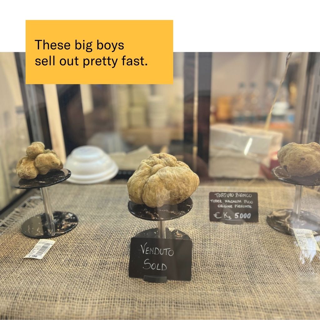 PIEDMONT & THE WHITE TRUFFLE FESTIVAL Guide [Ebook + digital maps]